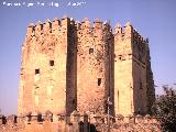 Torre de la Calahorra. 