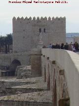 Torre de la Calahorra. 