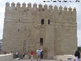 Torre de la Calahorra. Desde el puente