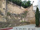 Murallas de Crdoba. Muralla de la Puerta del Rincn
