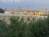 Puente Romano. 