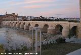 Puente Romano. 