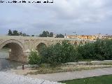 Puente Romano. 