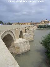 Puente Romano. 