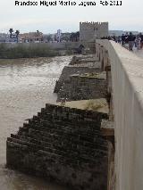 Puente Romano. Tajamares