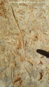 Pinturas y petroglifos rupestres del Abrigo de los cortados del Canjorro. 