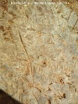 Pinturas y petroglifos rupestres del Abrigo de los cortados del Canjorro. 