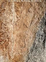 Pinturas y petroglifos rupestres del Abrigo de los cortados del Canjorro. 