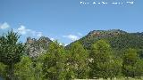 Cerro de Prado Alto. Piedra del Palo y Cerro de Prado Alto