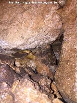 Cueva neoltica de los Corzos. 