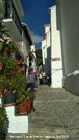 Calle Campanas