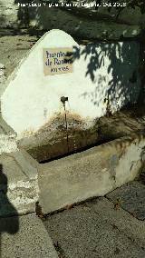 Fuente de Ramn Torres