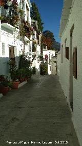 Calle Vieja