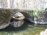 Puente Viejo. Ojo