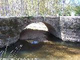 Puente Viejo. Ojo