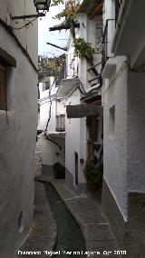 Calle Vernica