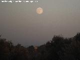 Luna. Por los campos de Baeza