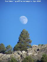 Luna. Las Castaetas - Villacarrillo