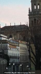 Catedral de Jan. Tejados. Arreglando el tejado