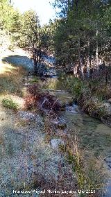 Arroyo de Valdecuevas. 