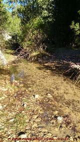 Arroyo de Valdetrillo. Cerca de su desembocadura