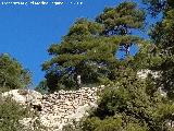 Muro de la Nava de Correvuela. 