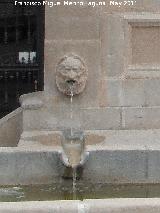 Fuente Principal de la Plaza de Espaa. Cao