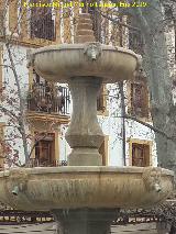 Fuente del Paseo de los Tristes. 