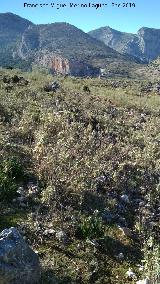 Poblado de Mirasierra. Vistas Cerro Calar