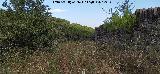 Estaci�n del Cable del Centenillo. Salida del cable