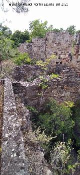 Estaci�n del Cable del Centenillo. 