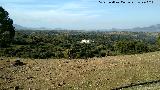 Cortijo de Las Peralejas. 