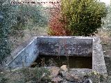 Alberca del Charquillo