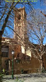 Monasterio de Piedra. Iglesia. Campanario