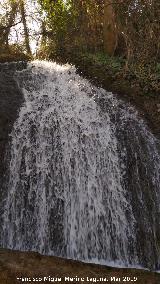 Parque Natural del Monasterio de Piedra. Cascada de los Fresnos Bajos. 