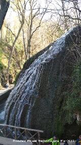 Parque Natural del Monasterio de Piedra. Cascada de los Fresnos Bajos. 