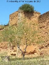 Muralla de Niebla. Torre Sur I. 