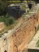 Muralla de Niebla. Torre Norte X. 