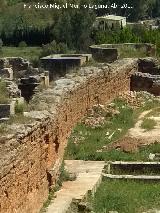 Muralla de Niebla. Torre Norte XII. Situacin