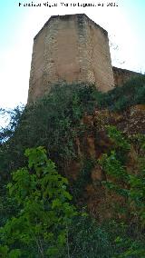 Muralla de Niebla. Torre Noreste. 