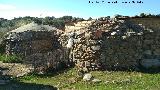 Bombos del Riscal. 