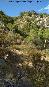 Fbrica de Luz del Barranco de la Canal. Camino que une la central con la Casa de los Anarquistas