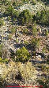 Fbrica de Luz del Barranco de la Canal. Tuberas del canal