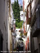 Calle Elvn. 