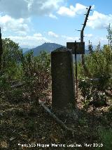 Cerro de la Laguna. Mojn