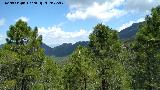 Cerro de la Laguna. Vistas hacia la Piedra del Agujero