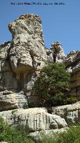 Torcal de Antequera. El Arco de la Rucha. 