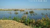 Laguna Dulce. 