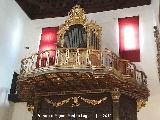 Iglesia de San Pedro y San Pablo. Interior. rgano