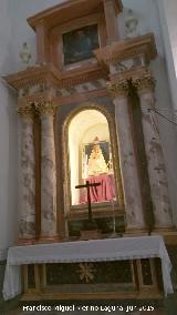Iglesia de San Pedro y San Pablo. Interior. Retablo de la Virgen del Roco